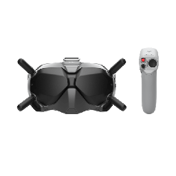 DJI FPV Goggles V2 Motion Combo